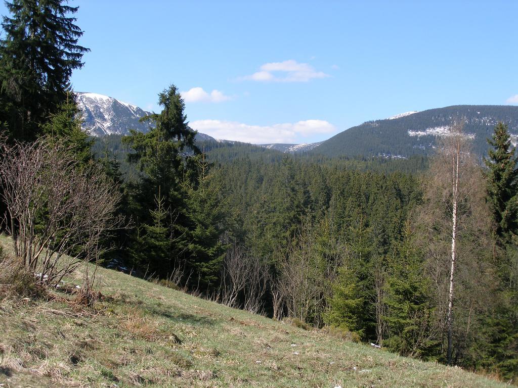 Pecka Penzion Pec pod Sněžkou Extérieur photo